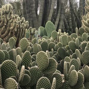 Meet your Posher, Carla